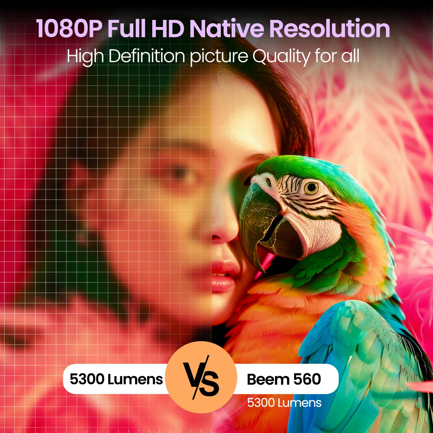 Beem 560 - Image 2